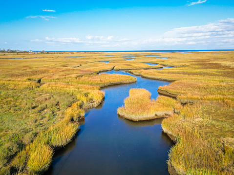 The reeds and grasses along a channel leading to the sea  in a Cape Cod salt marsh turn to a golden color as October turns toward November.