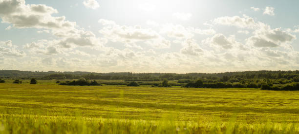 istock green meadow on a sunny day with clouds against a blue sky 1434824016