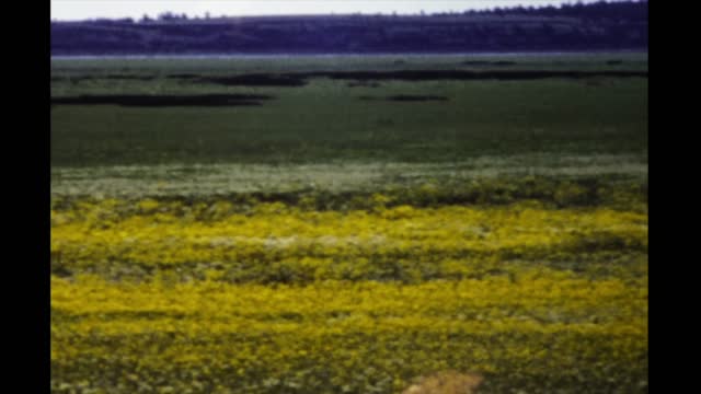 United States 1977, Arizona crops fields