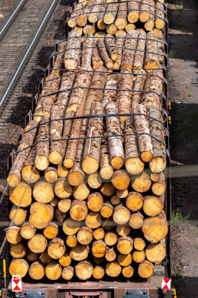 istock Close-up view railway sorting station with many transportation rail carriage. Railroad car wooden timber log and gas tanks logistics. Raw wood heating material transportation. Freight cargo transport 1434826812