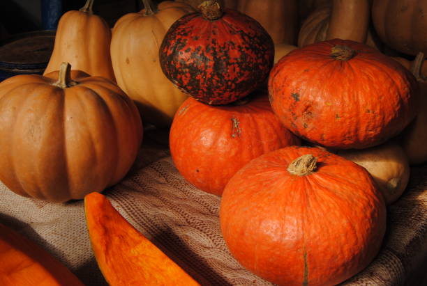 istock Pumpkins at the market 1434832093
