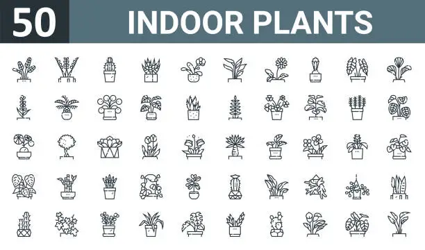 Vector illustration of set of 50 outline web indoor plants icons such as cinza, zamia, cactus, succulent, orchid, cast iron, gerbera daisy vector thin icons for report, presentation, diagram, web design, mobile app.