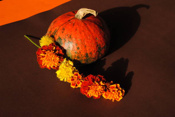 istock Pumpkin and flowers wreath 1434836813