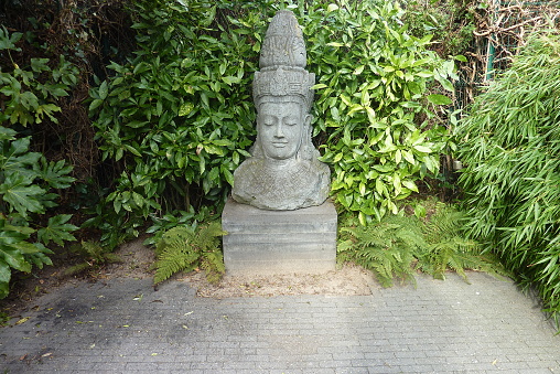 Appeltern, Netherlands, October 12, 2022: Appeltern is the Netherlands' largest garden idea park. Buddha statue and Aucuba japonica on the background