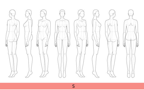 ilustrações de stock, clip art, desenhos animados e ícones de set of s size women fashion template 9 nine head croquis lady model skinny body with main lines figure front, side, 3-4, back view. vector isolated outline girl for illustration, technical drawing - artists figure