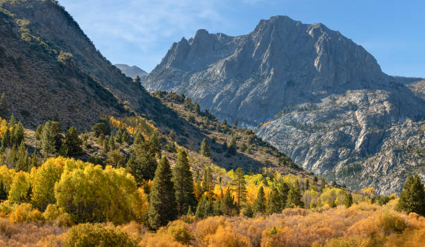 istock Fall colors at Lundy Lake, California 1434841064