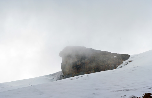 Fondo de nieve con una roca Venado hembra acicalando