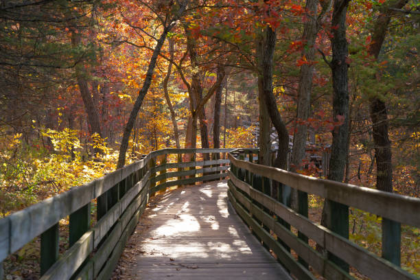 istock Wooden walkway through the park. 1434852038
