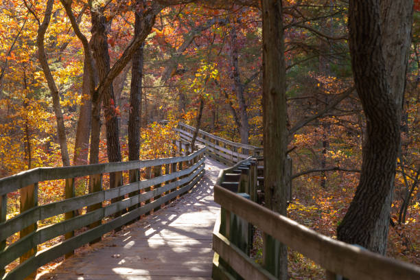 istock Wooden walkway through the park. 1434852046