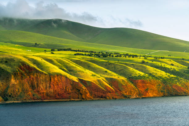 Willunga 400+ Willunga Photos Stock Photos, Pictures & Royalty-Free Images - iStock