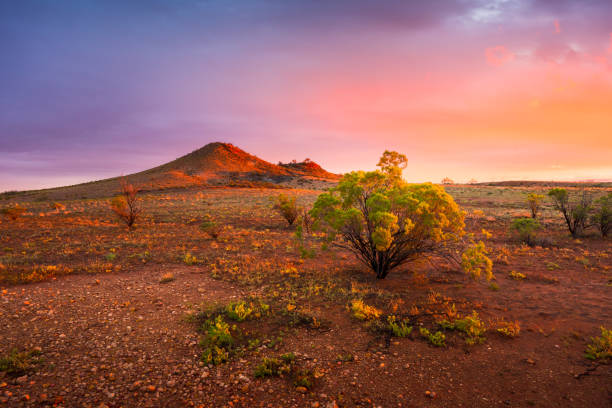 deserto tramonto - outback desert australia sky foto e immagini stock