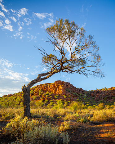 Gorgeous scene from outback Australia