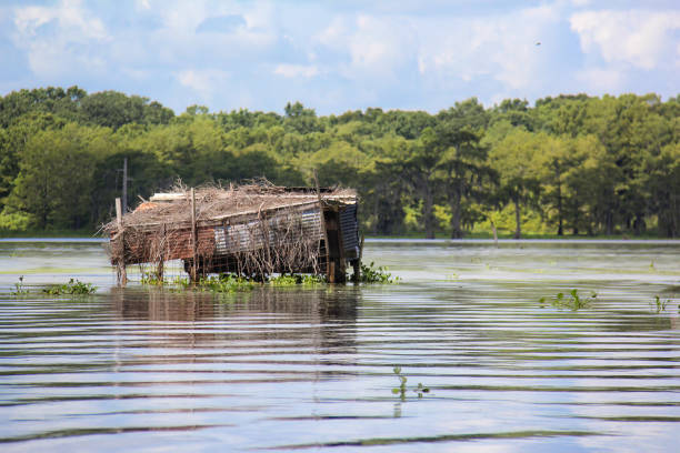 A small structure known as a duck blind sits in the middle of a swamp just outside of Lafayette, Louisiana in the blistering hot sun.