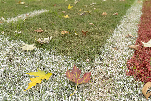 An American football field at the end of the season with fall leaves and over grown grass with faded field markings.