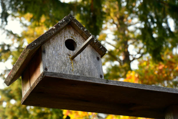 istock Wooden Bird House 1434872769