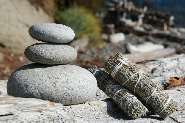 Free picture: Dry stick on brown granite rocks