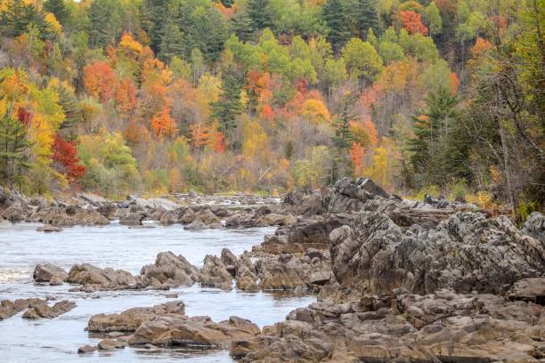 istock Scenic Autumn day on the St. Louis River 1434877932