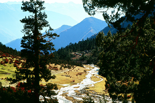 The scenery from the hiking trail. Pilgrims after crossing Suola Pass (4815m) , rest and have picnic in the alpine pasture (4,200 m asl)  on the eastern slope of the Meili Mountains. Photographic slide photo in Nov 2003, Deqin County, Yunnan