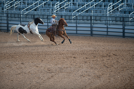 Cowboy and Bucking Bronco at an empty rodeo arena