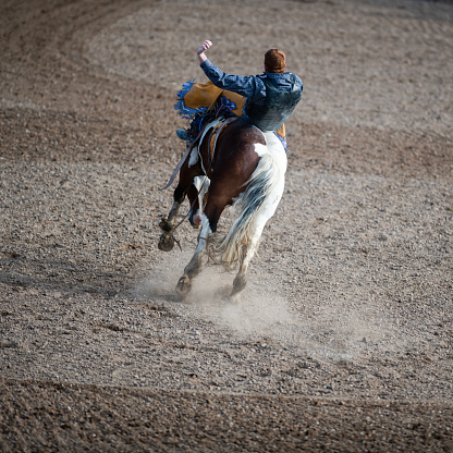 Bronc house bucking and kicking at a rodeo