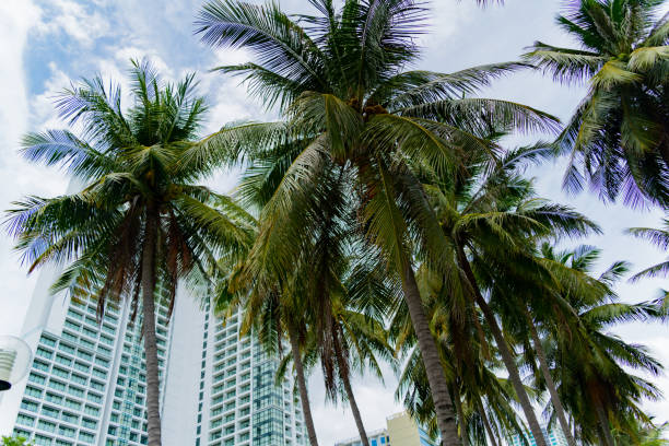 istock A city park in a seaside resort town. 1434894337