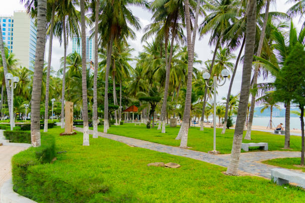 istock A city park in a seaside resort town. 1434894341