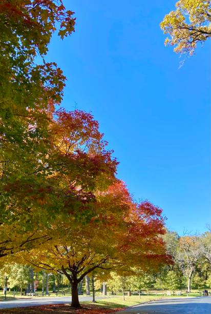 istock The Beginning Of Fall 1434899226