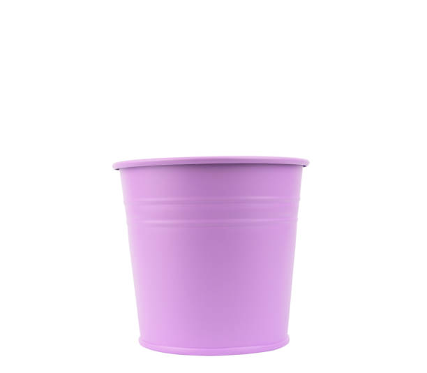 istock Purple Flowerpot, isolated on white background with clipping path 1434900841