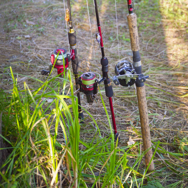 cañas de spinning con señuelos listas para la pesca - lure loc fotografías e imágenes de stock