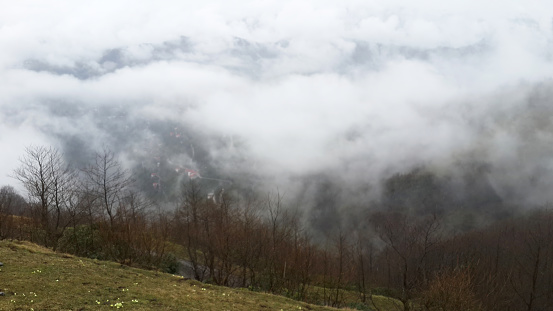 fog on the mountains
