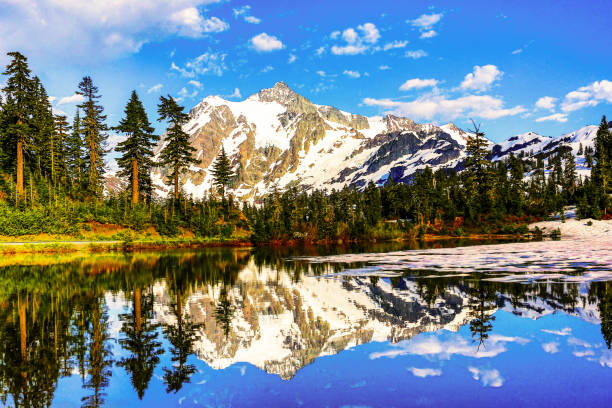 노스 캐스케이드, 워싱턴 - north cascades national park aerial view washington state usa 뉴스 사진 이미지