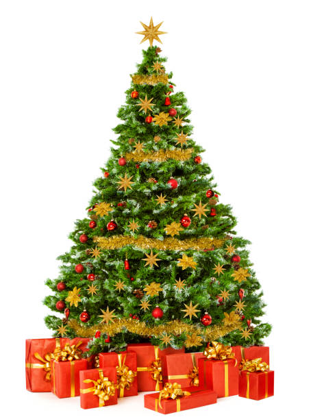 2,800+ Tall Christmas Tree Stock Photos, Pictures & Royalty-Free Images ...