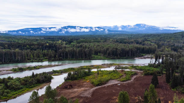 North Skeena River, British Columbia, Canada prince george photos stock pictures, royalty-free photos & images