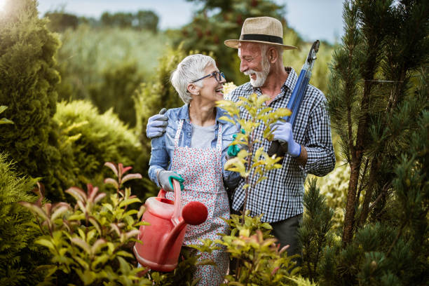 istock Happy senior couple talking while gardening in the back yard. 1434922576