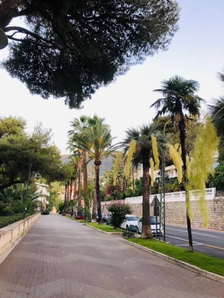 istock Park alley in Ospedaletti 1434924592