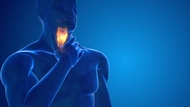 human medical figure with sore throat - 喉嚨 個照片及圖片檔