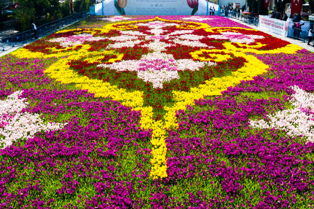 Istanbul, Turkey - April 21, 2018: World's largest Tulip Carpet' in Istanbul. Tulip Festival. Tulip Carpet exhibited in the historic Sultanahmet Square.