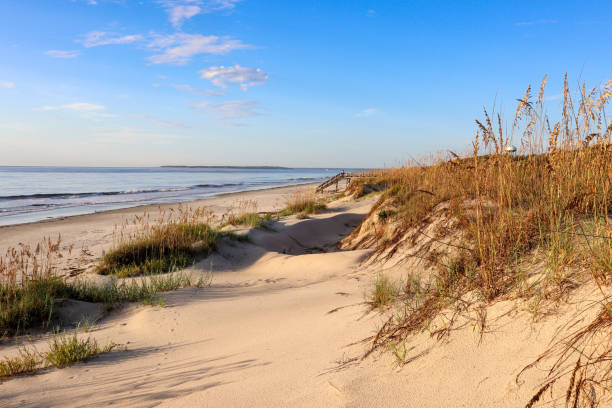 jekyll island dune swoon - sand sea oat grass beach sand dune stock-fotos und bilder