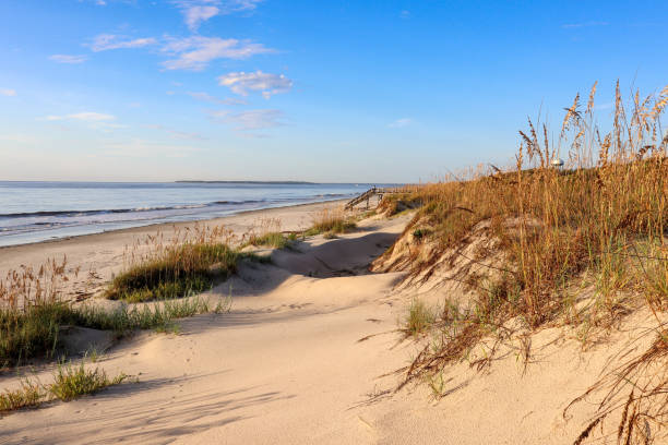 지킬 아일랜드 듄 스운 - sand beach sand dune sea oat grass 뉴스 사진 이미지