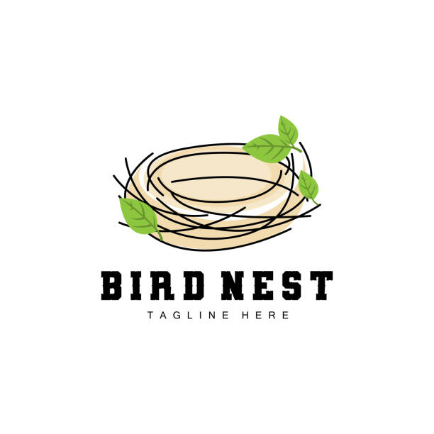 дизайн логотипа птичьего гнезда, вектор птического домика для яиц, иллюстрация логотипа птичьего дерева - birdhouse animal nest bird tree stock illustrations