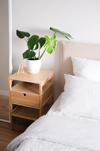 Room interior with bedside table and Monstera plant.