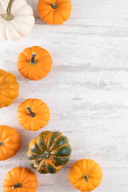 istock Autumn and Holiday Background 1434938907