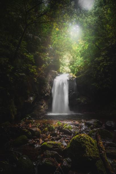 istock Vertical of a waterfall in the forest. 1434939325