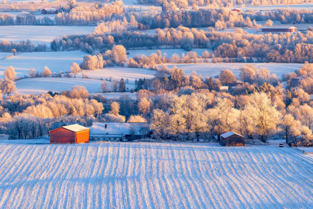 istock High angle view at a wintry rural landscape 1434943551