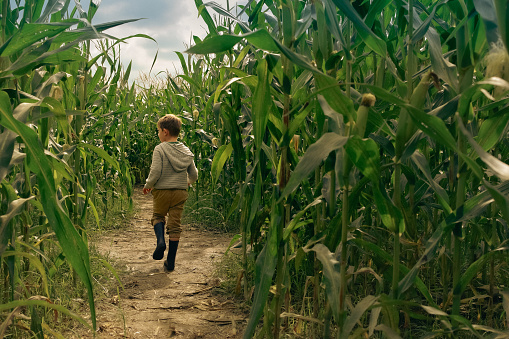 Preparing kids for halloween and running around pumpkin fields to get some fun. Active time with children outdoors