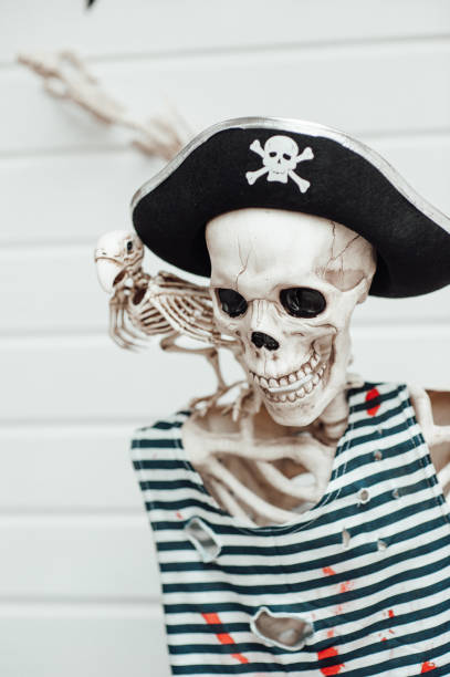 istock Halloween skeleton character in pirate costume with cocked hat black 1434945726