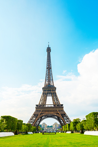 Eiffel Tower between trees in Paris, France