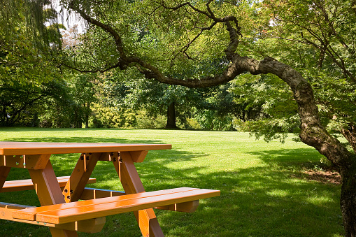Nueva mesa de picnic vacía de madera de pino en un prado verde en un parque público photo