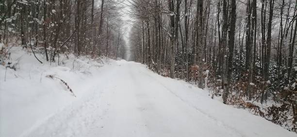 istock Scenic valley in the winter forest covered in snow 1434956750