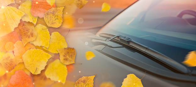 Closeup car windshield and yellow leaves with space for text. The concept of cleaning products, polishing, anti-rain in the autumn season